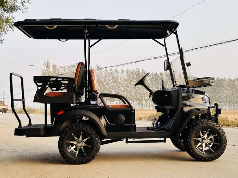 عربات الجولف الكهربائية Qifan 48/72 فولت 4/6 مقاعد للبيع #4