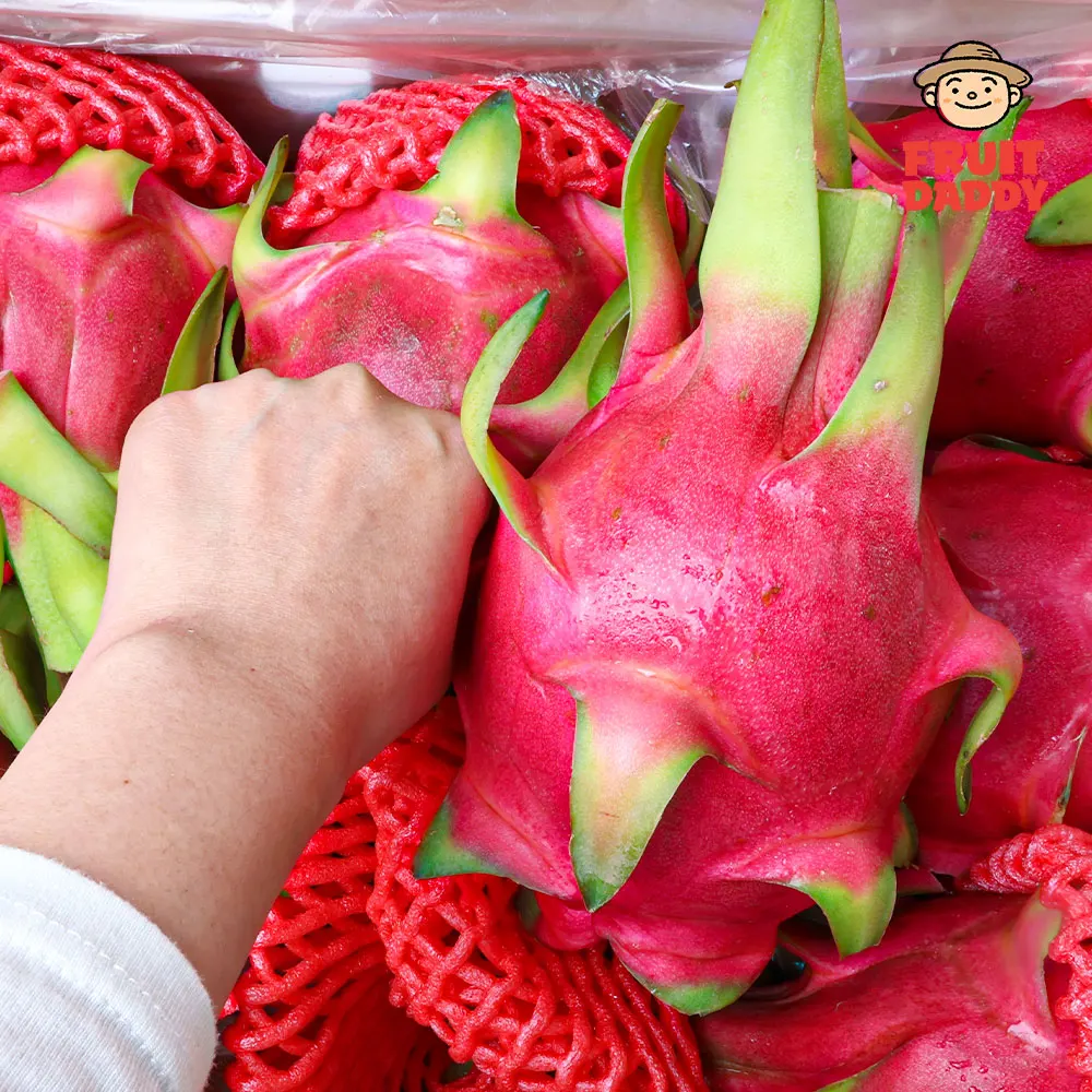 قسط فاكهة التنين الأبيض الطازج والناعم
