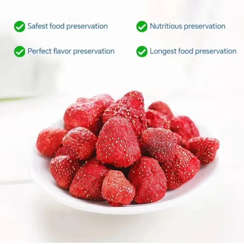 10kg Freezer for Household Home Use Automatic Lyophilizer Vacuum Freeze Dryer Machine Oil for Food Processing Gear Pump Core