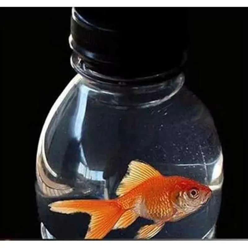 2 Pcs/Lot Fish In A Bottle Magic Tricks Mentalism Stage Magia Props  Illusions Close-Up Comedy Street Magie Toys