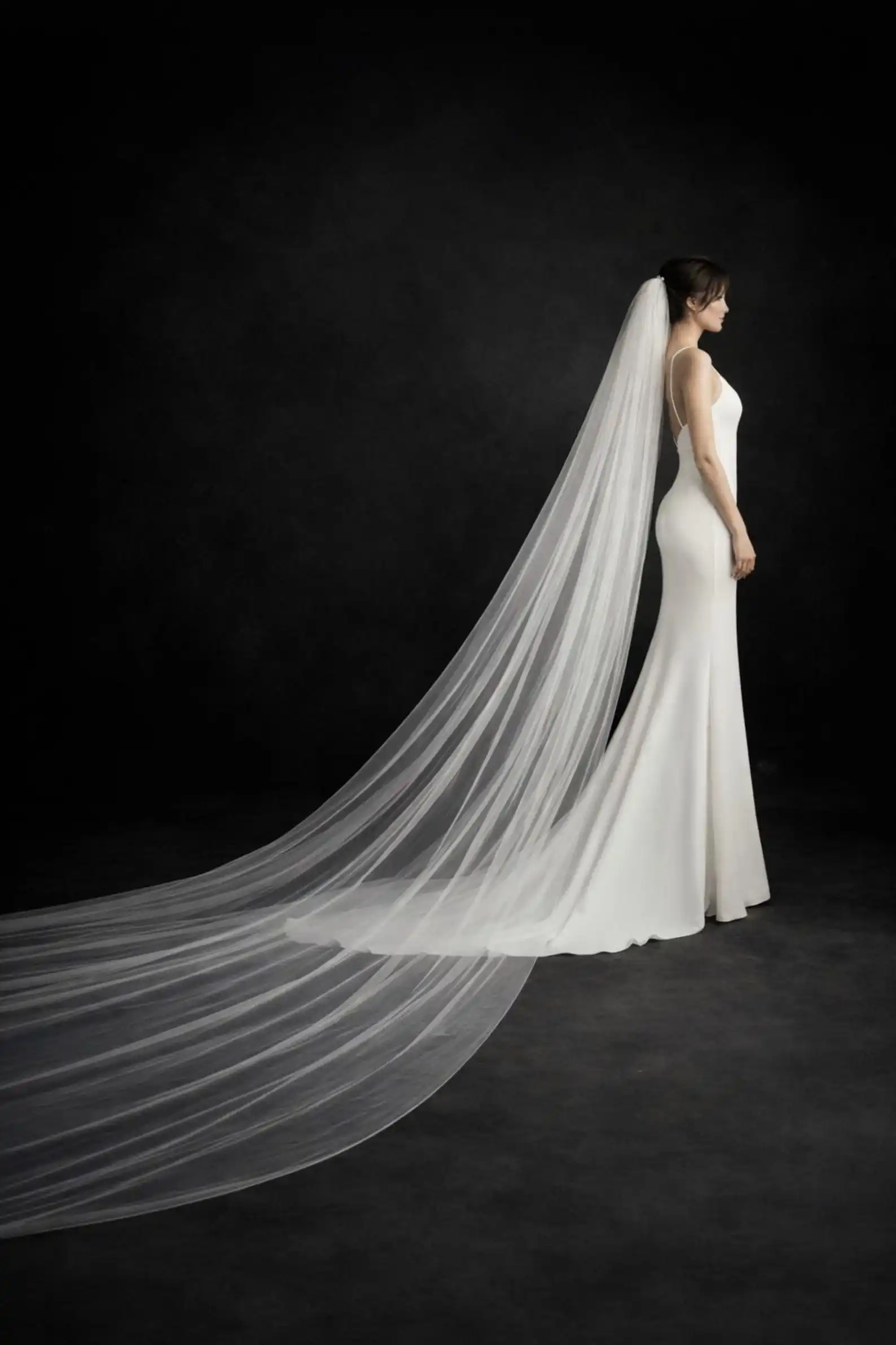Royal Cathedral Veil 3-5M Bridal Veil Extra Long Wedding Veil Wedding Accessories Bridal Headwear Handmade Custom Length Style
