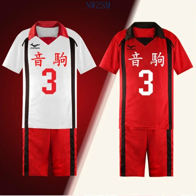 Anime Haikyuu Costume Cosplay Karasuno High School Pallavolo Club Hinata Shyouyou Abbigliamento sportivo Jersey Uniforme Haikyuu Nekoma