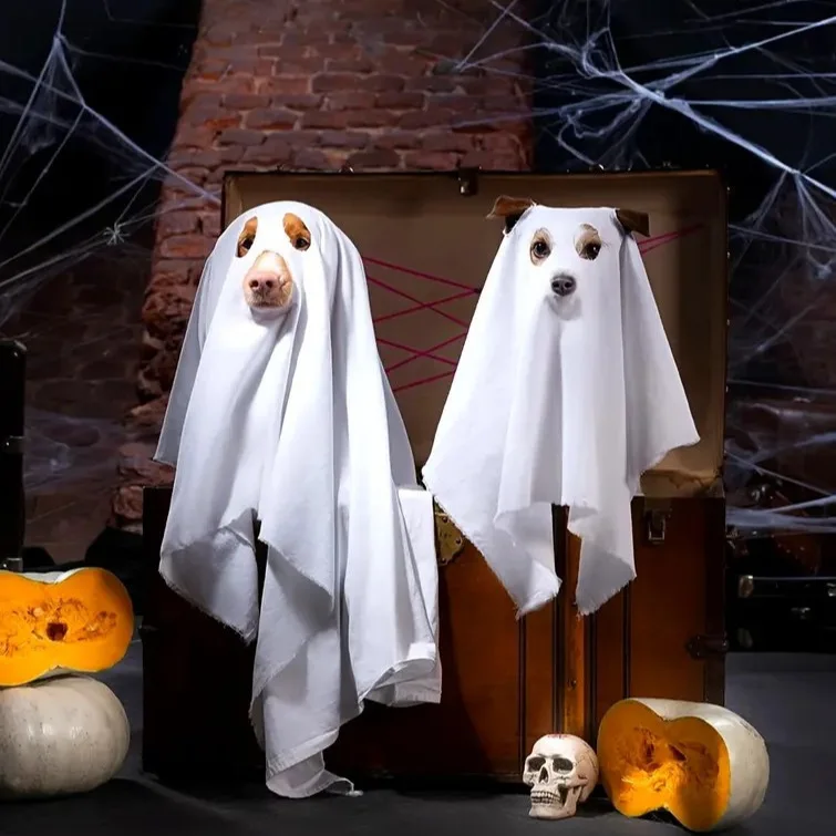 

Dog Cosplay Costume, Halloween Horror Ghost Decoration, Pet Supplies, Cape, Cloak, Headgear, Transformation Outfit