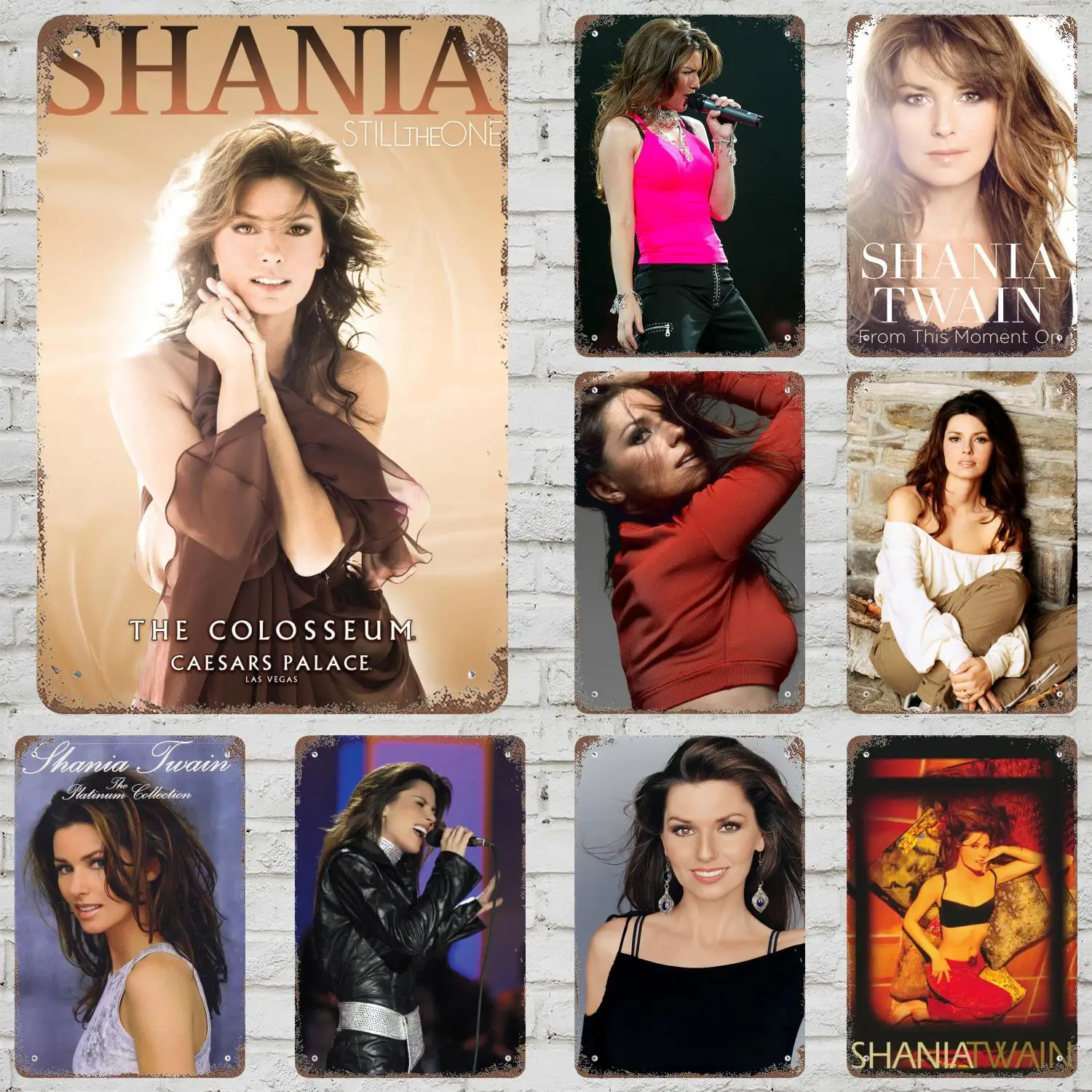 Shania twain Vintage étain signe décor à la maison décoration murale Art Mural chambre décoration décor rétro métal signe plaque Bar affiches