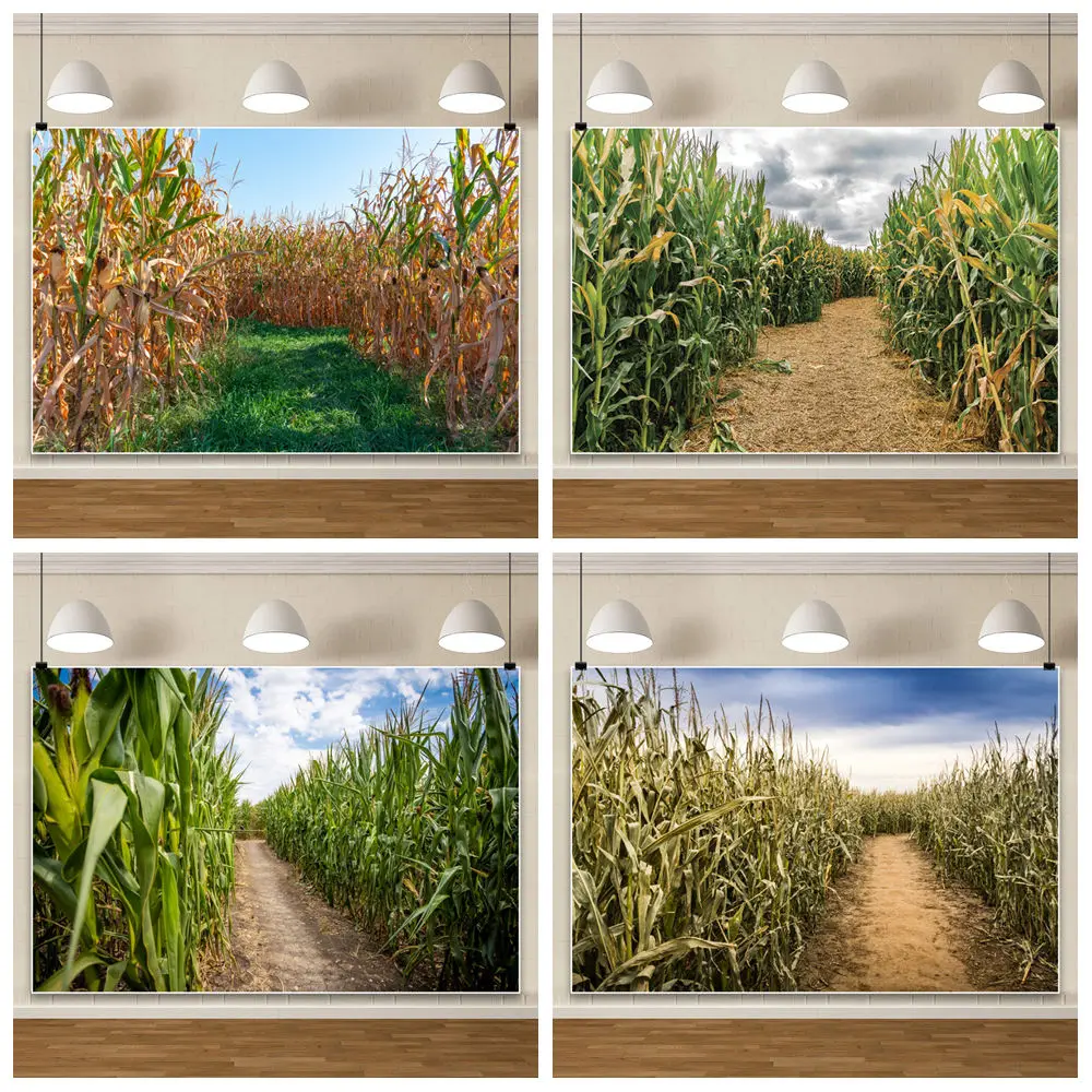 

Осенний урожай фон для фотографии сельская дорога кукурузное поле пшеничное поле фон ткань аксессуары для фотосъемки дома фотозона