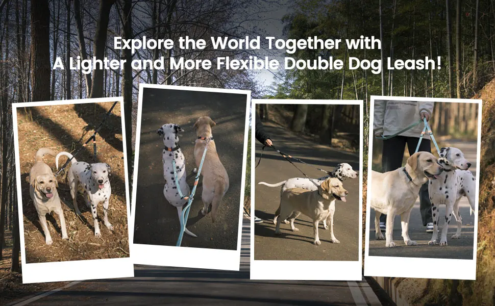 Double Dog Leash No Tangle Dual Dog Leash Lead Coupler Splitter Adjustable Two Handle Training Walking for Medium and Large Dog