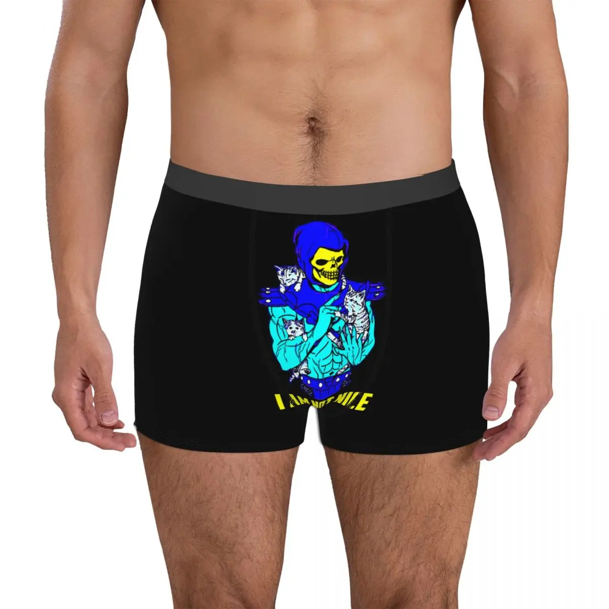 

Skeletor Masters Of The Meowniverse 6 Men's Boxer Briefs Graphic Exotic Skivvy Funny Novelty Autumn Wearable