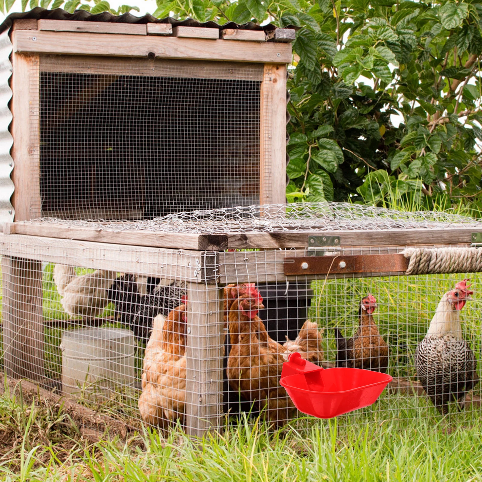

5pcs Goose Waterer Bowls PP Material Leakproof Automatic Drinking System for Poultry Farm Hydration Water Cups