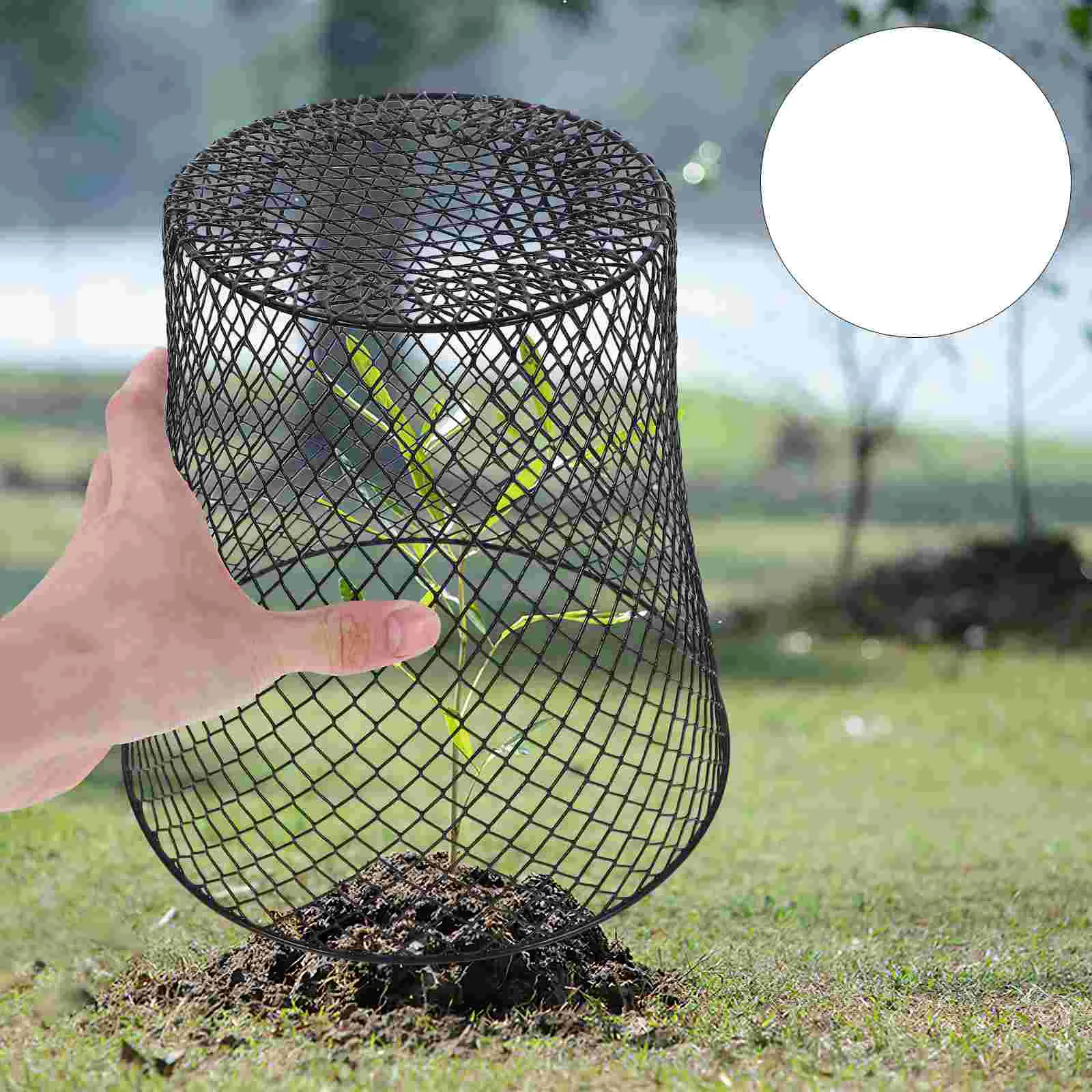 

4 Pcs Plant Protection Cover Large Flower Pots Yard Cage Metal Flowerpot Protector Wire Iron Garden