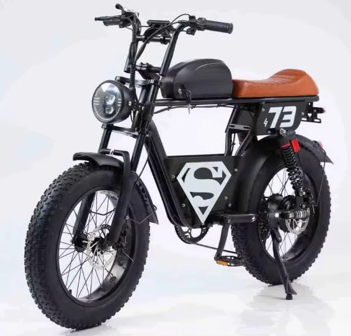 20 Inches Fat Tire Powerful Ebike for Adults 48V 750W Electric Fatbike Full Suspension Hybrid Electric Bike