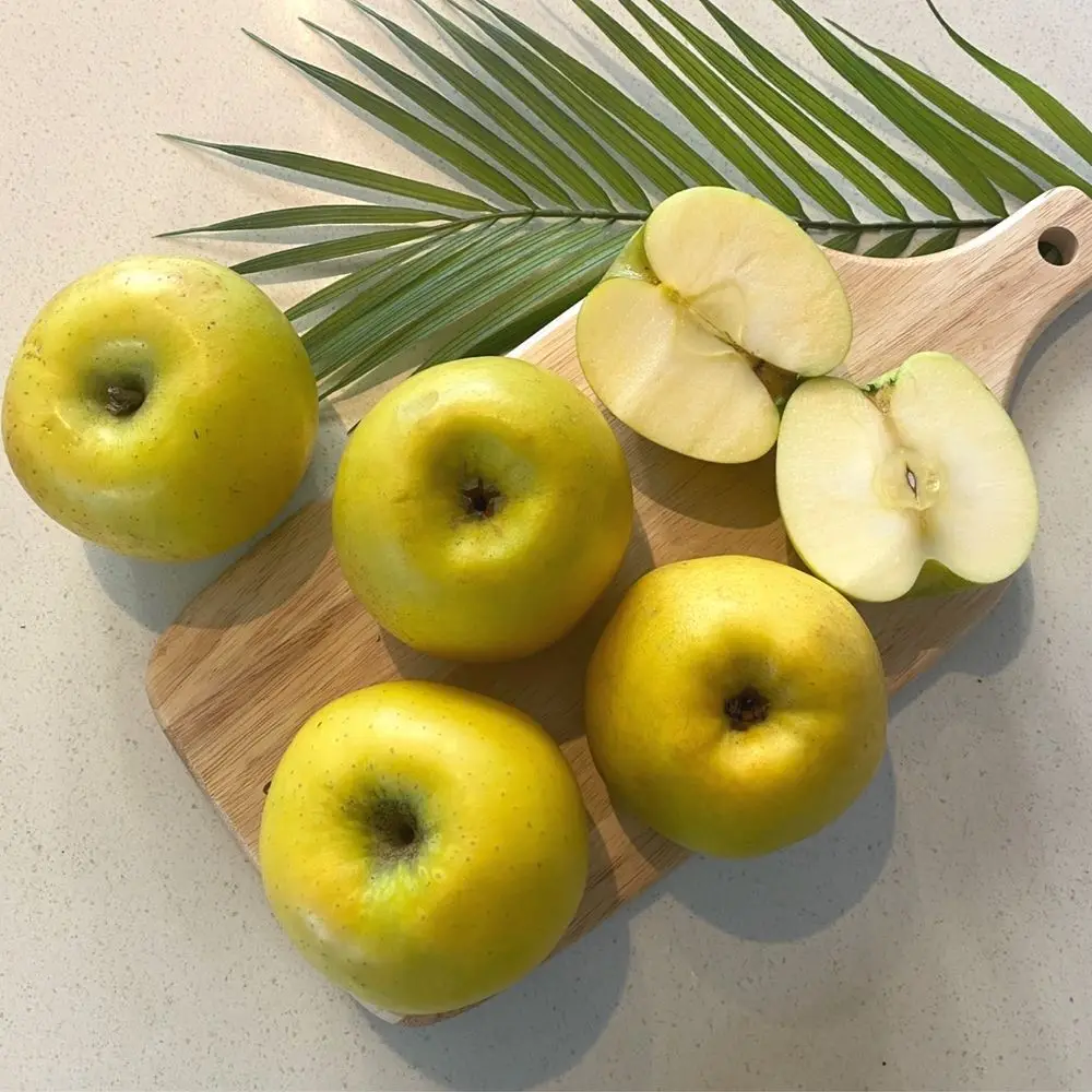 새콤달콤 시나노골드 스위트 사과 쥬스용 6kg