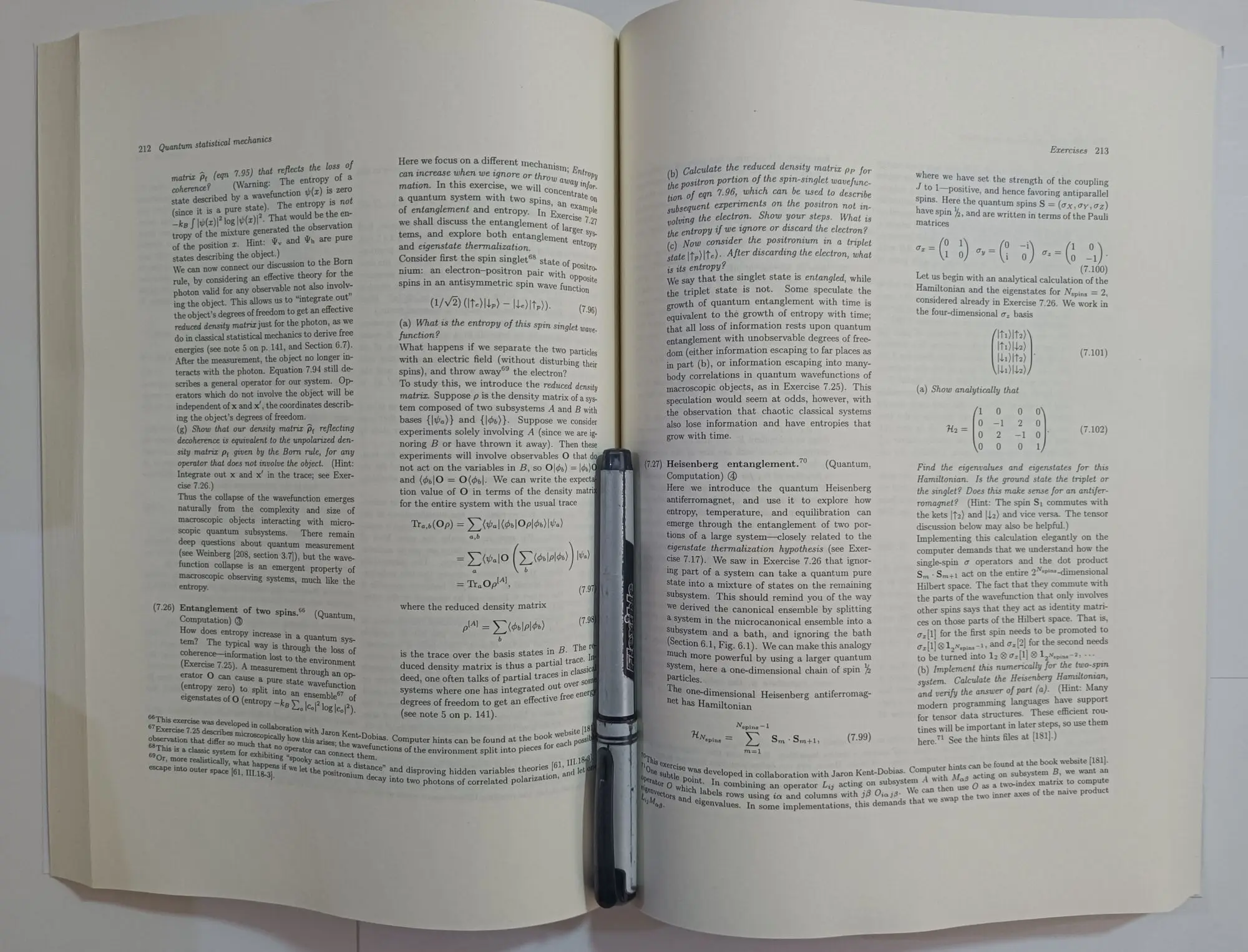 Statistische Mechanik: Entropie, Ordnungs parameter