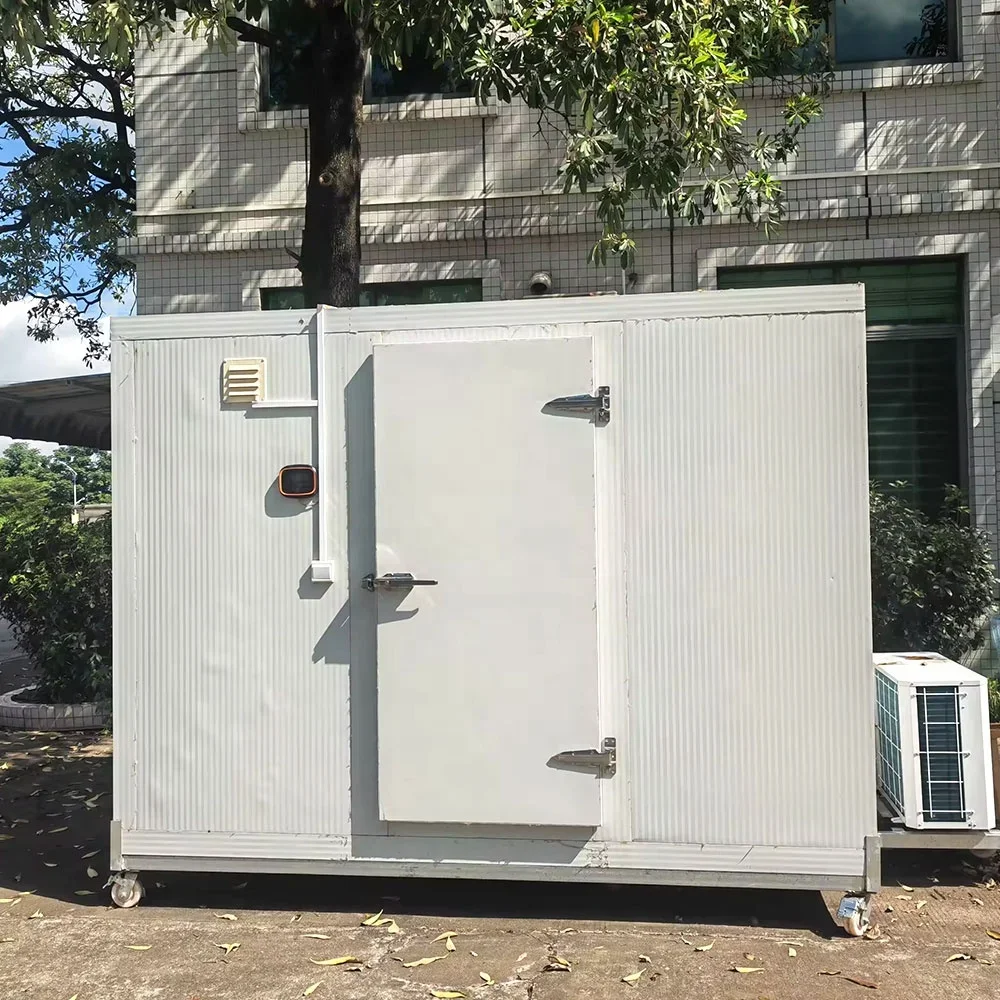 Congelador comercial para manutenção fresca, sala congelada profunda, recipiente para peixes e carne, sala de armazenamento a frio