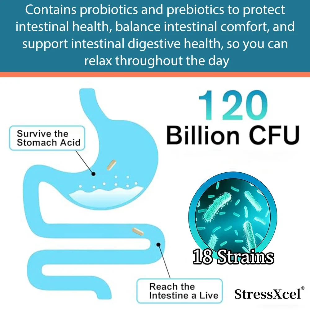 Probiotic and Prebiotic Supplements - Suitable for Both Men and Women, Maintains Immune, Digestive System Health, Gut Health - Image 3