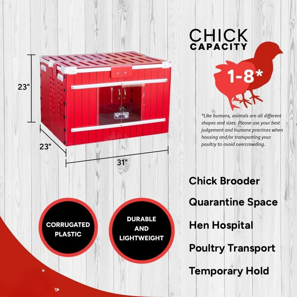 

Little Red Barn Folding Chick Brooder Set–Holds 4 Chicks up to 8 Weeks; Includes Brooder, Heat Plate, Feeder, Waterer, Swing,New