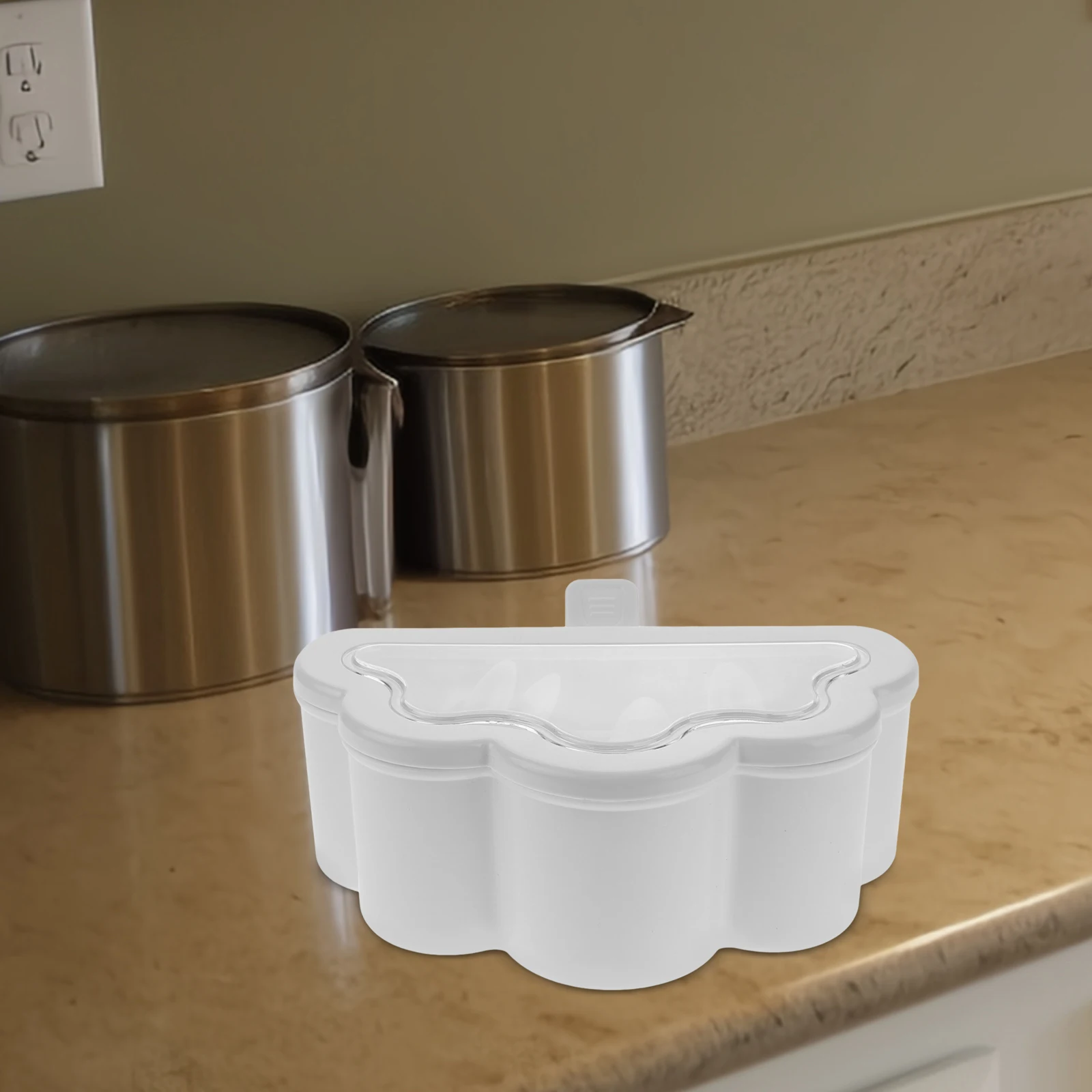 

Divided Spice Box Reusable Plastic Seasoning Container with Airtight Lid for Kitchen Pantry Storage Compact Condiment Organizer