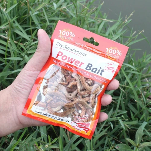 Imagen 1 del producto Señuelos de gusano seco realistas, 1/3/5/10 Uds., cebo de gusano de arena de plástico suave, acción realista para pesca en agua dulce y salada