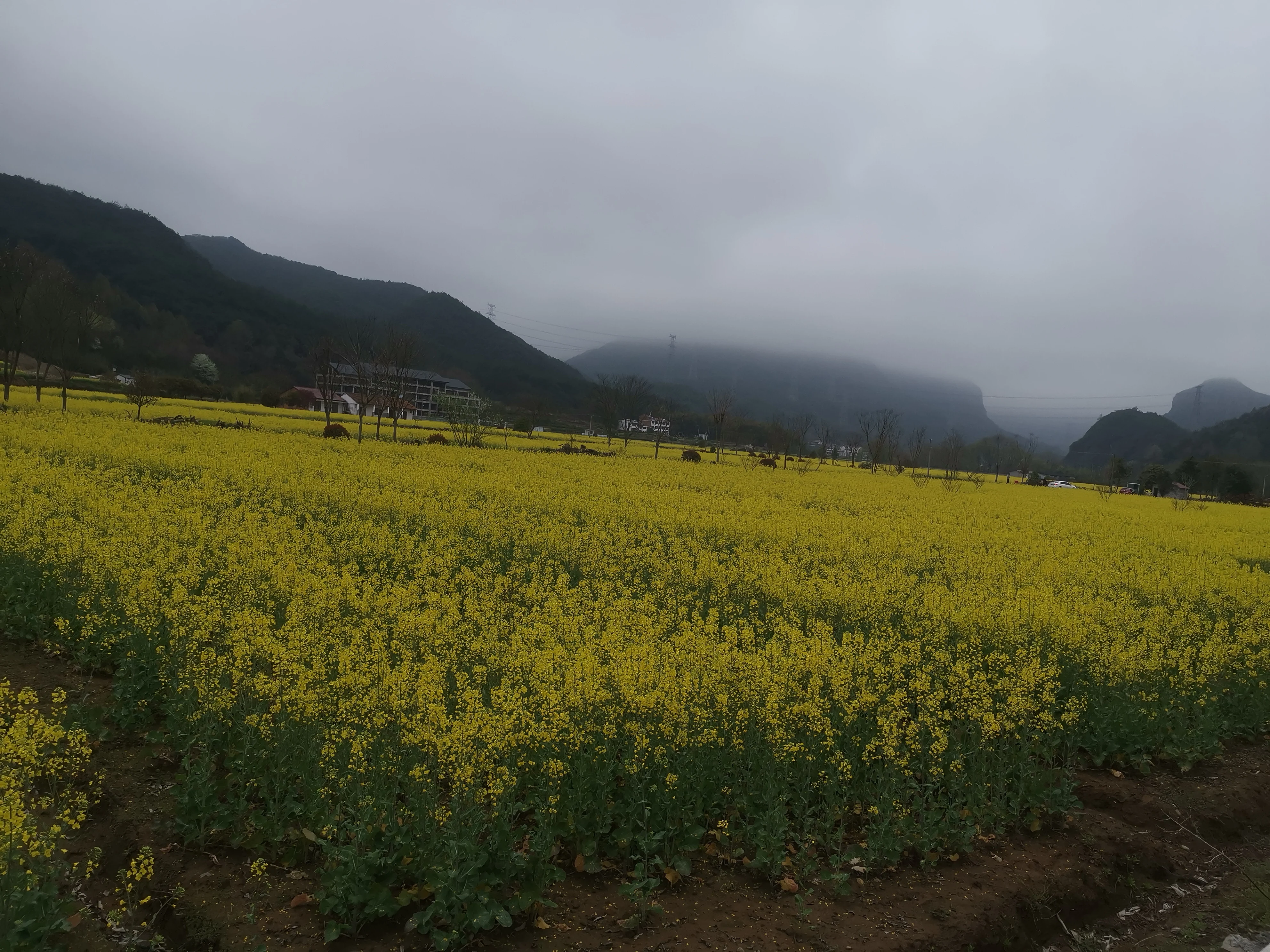 

Genuine Star Flatback No Hotfix rhinestones Nail Beauty Salon Decoration for nail art DIY jewelry Craft Nails clothing