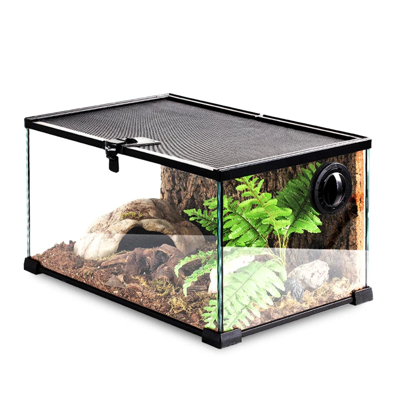 Rainforest Glass Terrarium for Reptiles Snake Tree Frog Bearded Dragon Lizard Gecko Spider Habitat Tank with Decorations view 5