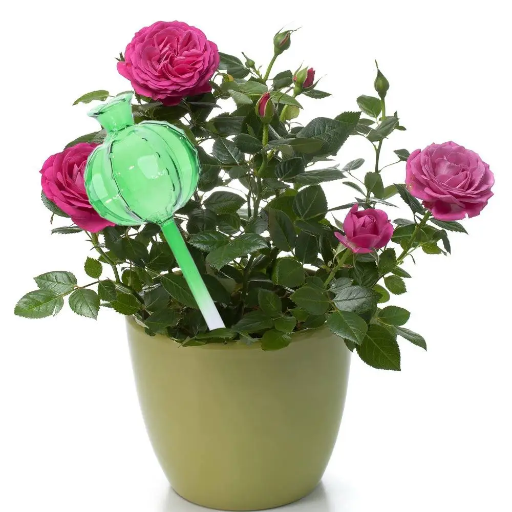 

Cactus Cactus Self Watering Planter Automatic Glass Automatic Plant Watering Bulbs Cute Plant Water Feeder Glass Bulbs