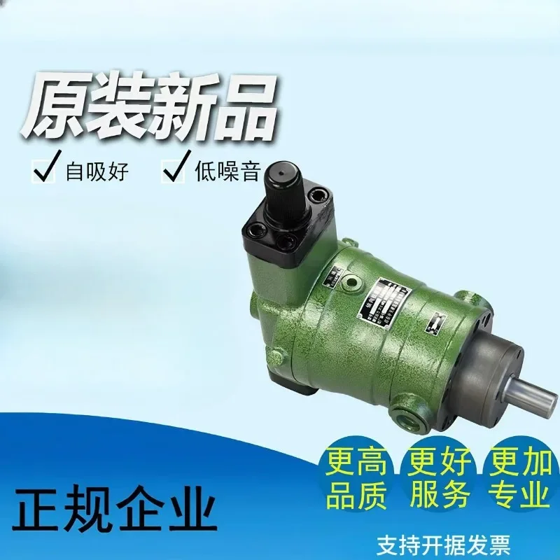 10YCY 25YCY 40MCY 63YCY 80YCY 100YCY 160YCY14-1B Qidong plunger oil pump