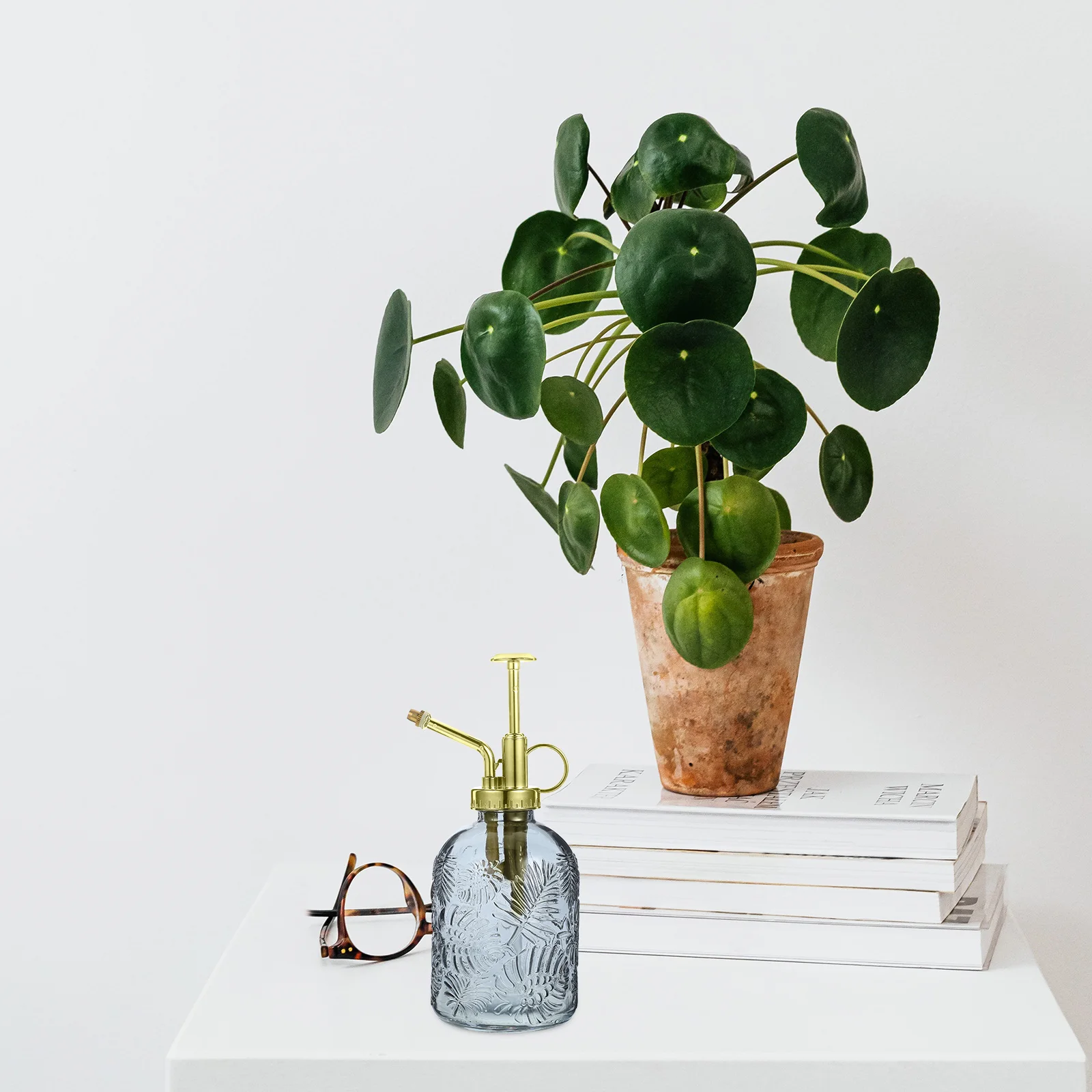 

Glass Plant Mister Spray Bottle Vintage Small Watering Can Lightweight Reusable Easy Refill Clear Design Home Garden Decor