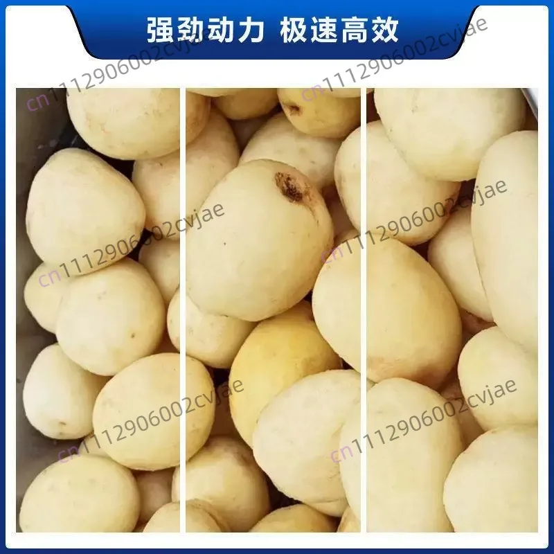 Potato peeling stainless steel potato washing machine