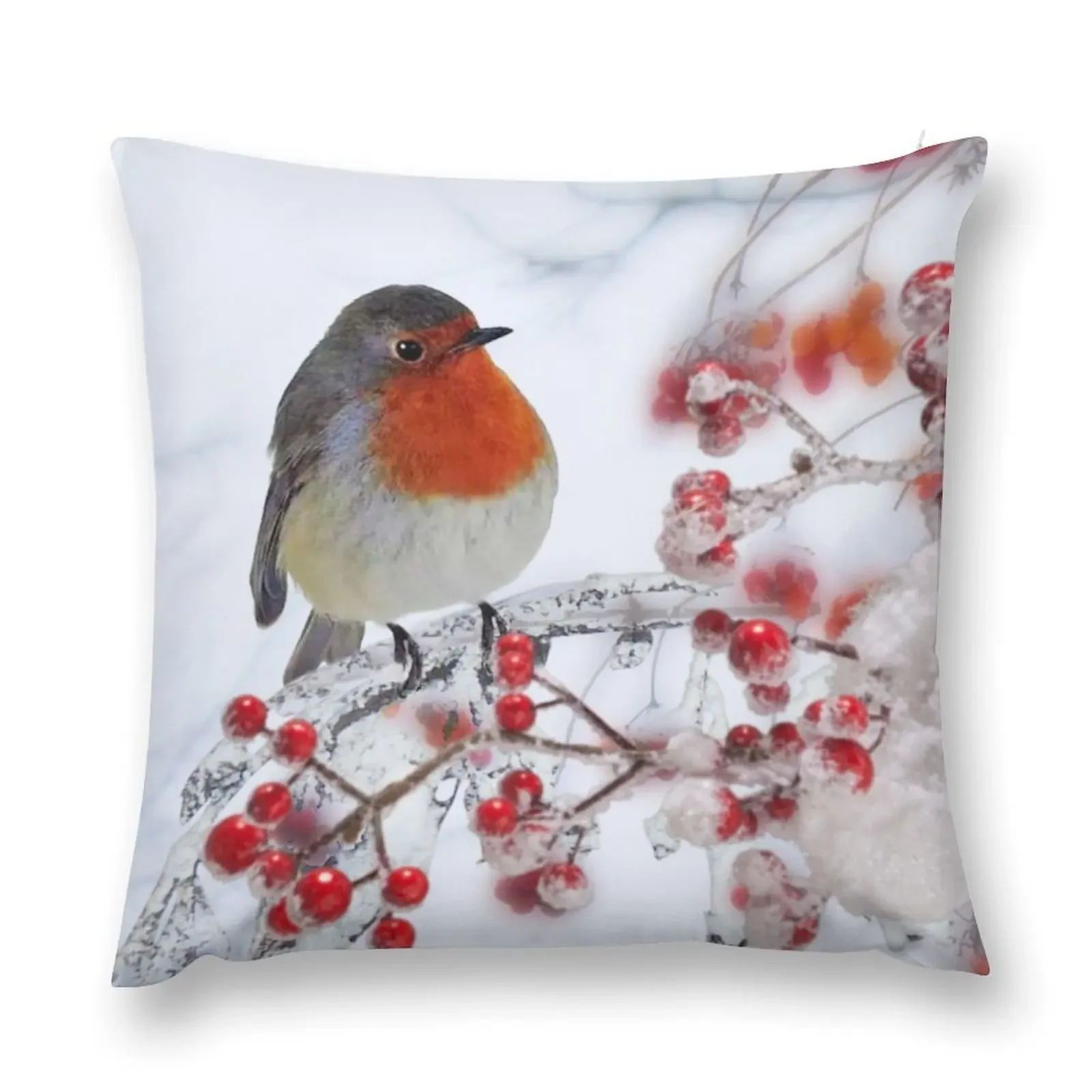 Robin Red Breast in Winter Throw Pillow Pillowcase Sitting Cushion Sofa Pillow Cover pillow