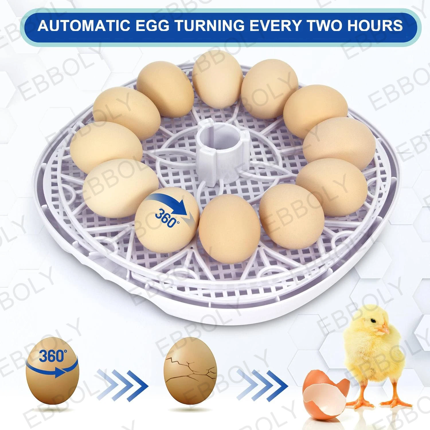 Automatic Egg Incubator Household Small Chicken Duck Goose Egg Incubator Automatic Watering Intelligent Temperature Control