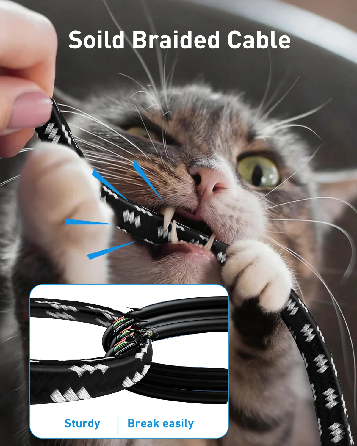 ZoeRax Cat8 Ethernet-Kabel 40Gbps 2000MHz Cat 8 RJ45 Netzwerk-LAN-Patchkabel für Router Modem Internet RJ45 Ethernet-Kabel – Detail 4