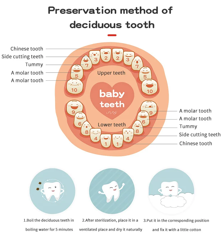 Language English Baby Wood Tooth Box Organizer Milk Teeth Storage Collect Teeth Umbilical Save Souvenirs Gifts Baby Tooth Box