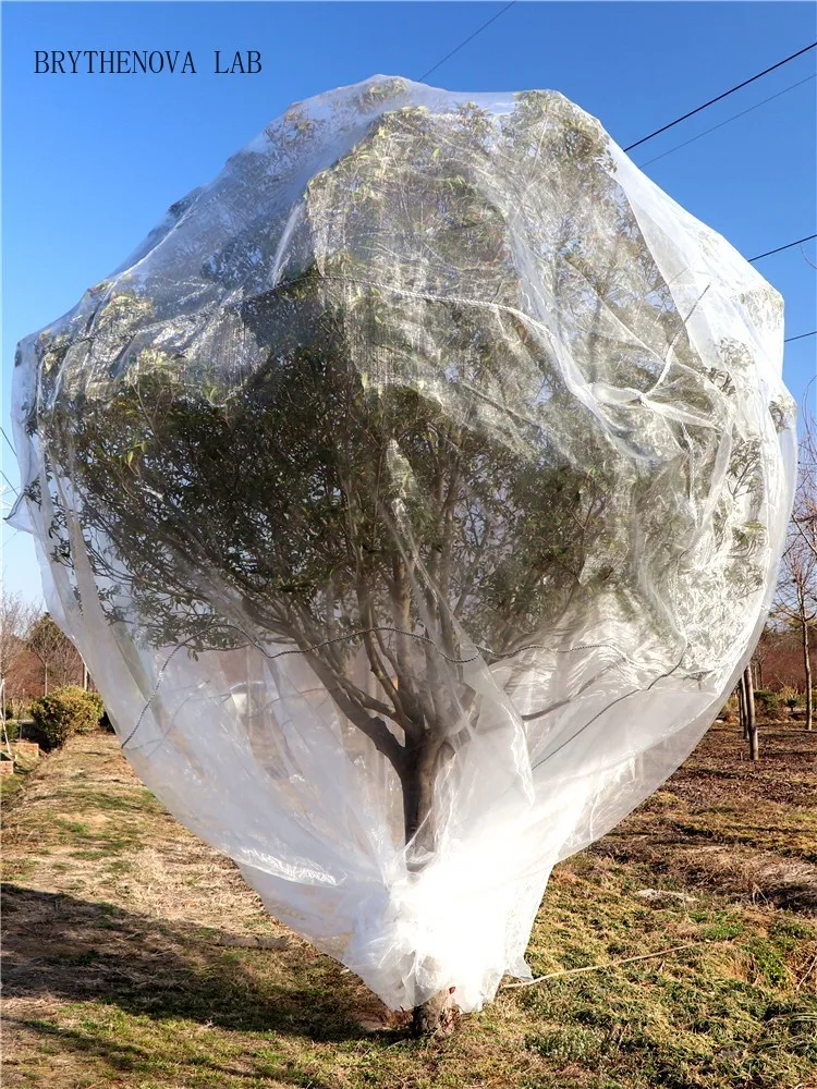 3mx3m Fruit Tree Protective Net PE Breathable Wear Resistant Gauze Antioxidant Mesh Cherry Grape Bird Prevention Insect Screen