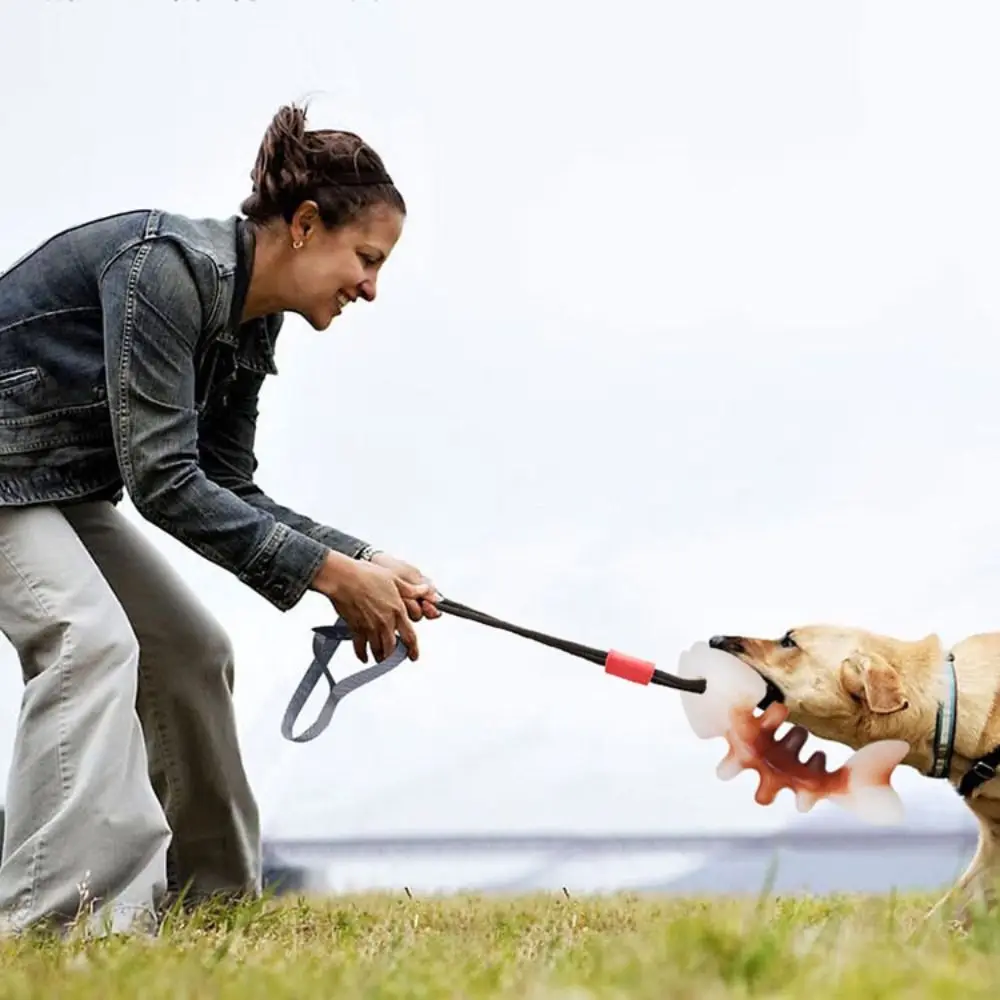 インタラクティブな骨の形をした犬のおもちゃ,大臼歯のおもちゃ,耐摩耗性,ナイロン製のペットの噛むおもちゃ,自己満足