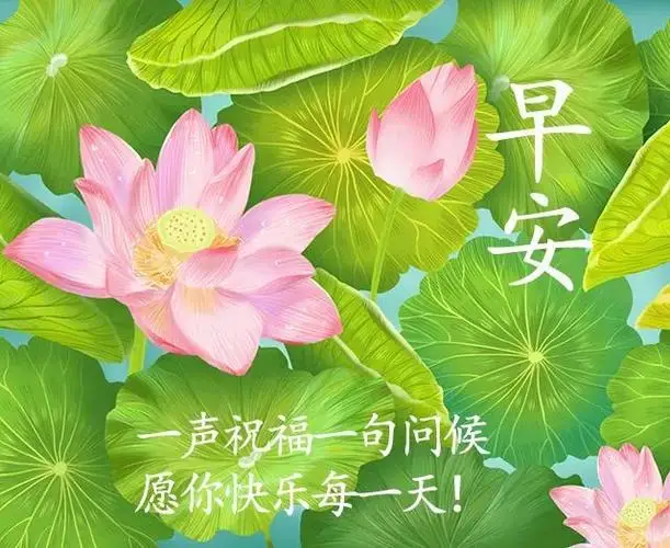 2Pcs Steel Steering…