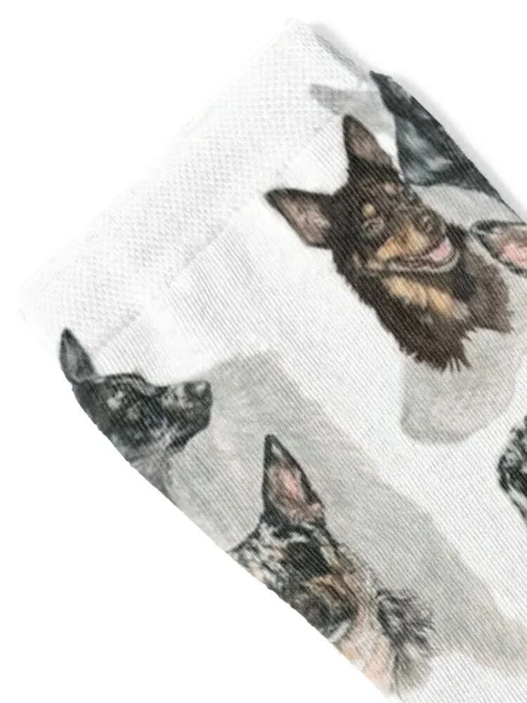 Australian Koolie Medley Socks anime halloween loose short Socks Ladies Men's