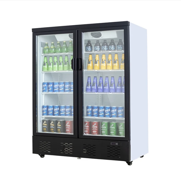 Refrigerator Equipment Factory 2 Door Commercial Refrigerator Freezers Refrigerators Display Cooler 2025