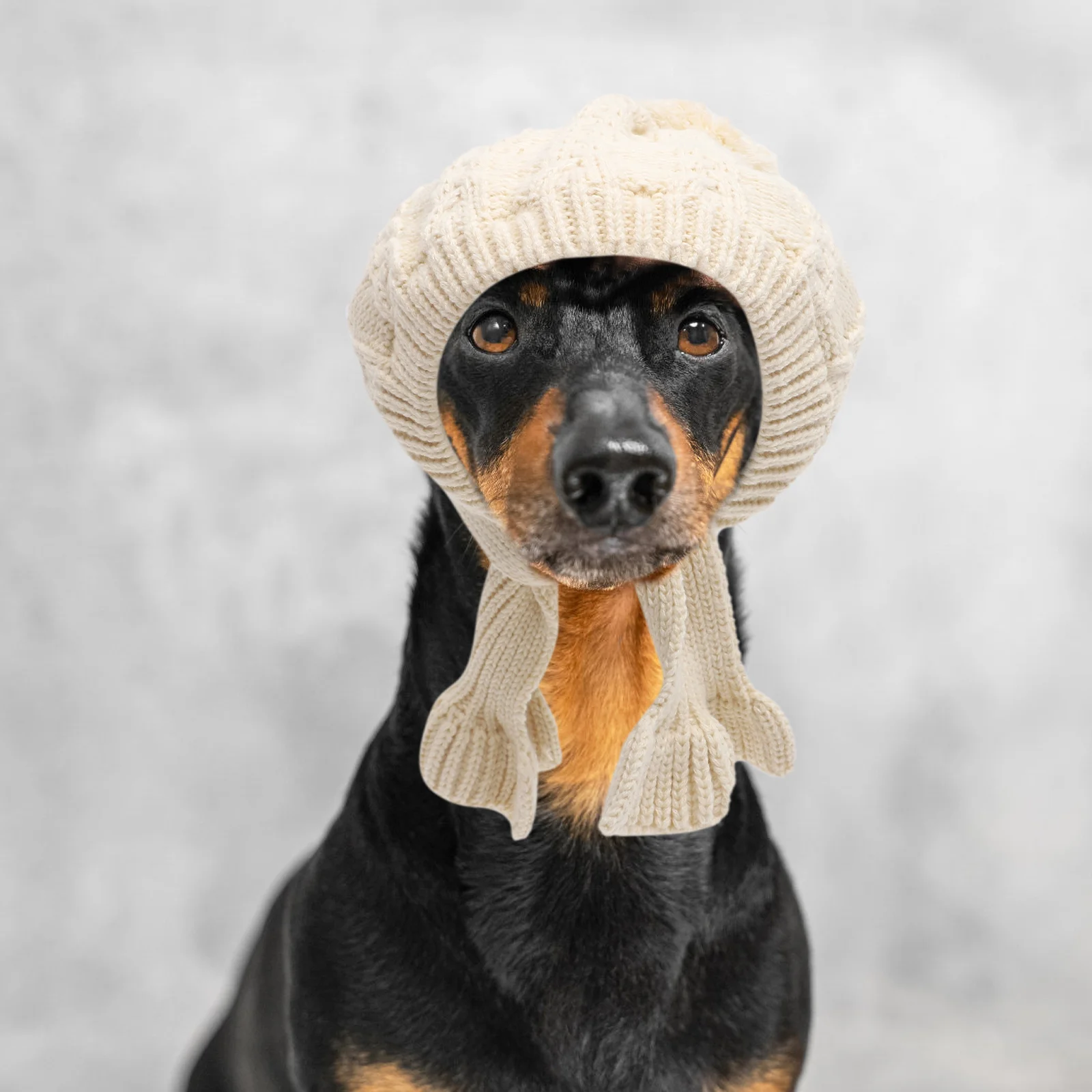 Adjustable Dog Winter Hat with Knitted Scarf Warm Knit Cap for Puppies and Small Dogs Outdoor Protection Small Dog Hat