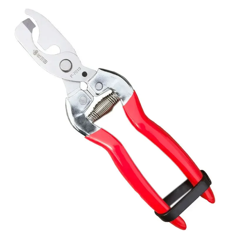

Branch Sprouting Scissors, Stainless Steel Tools, Fruit Tree Pruning Scissors,