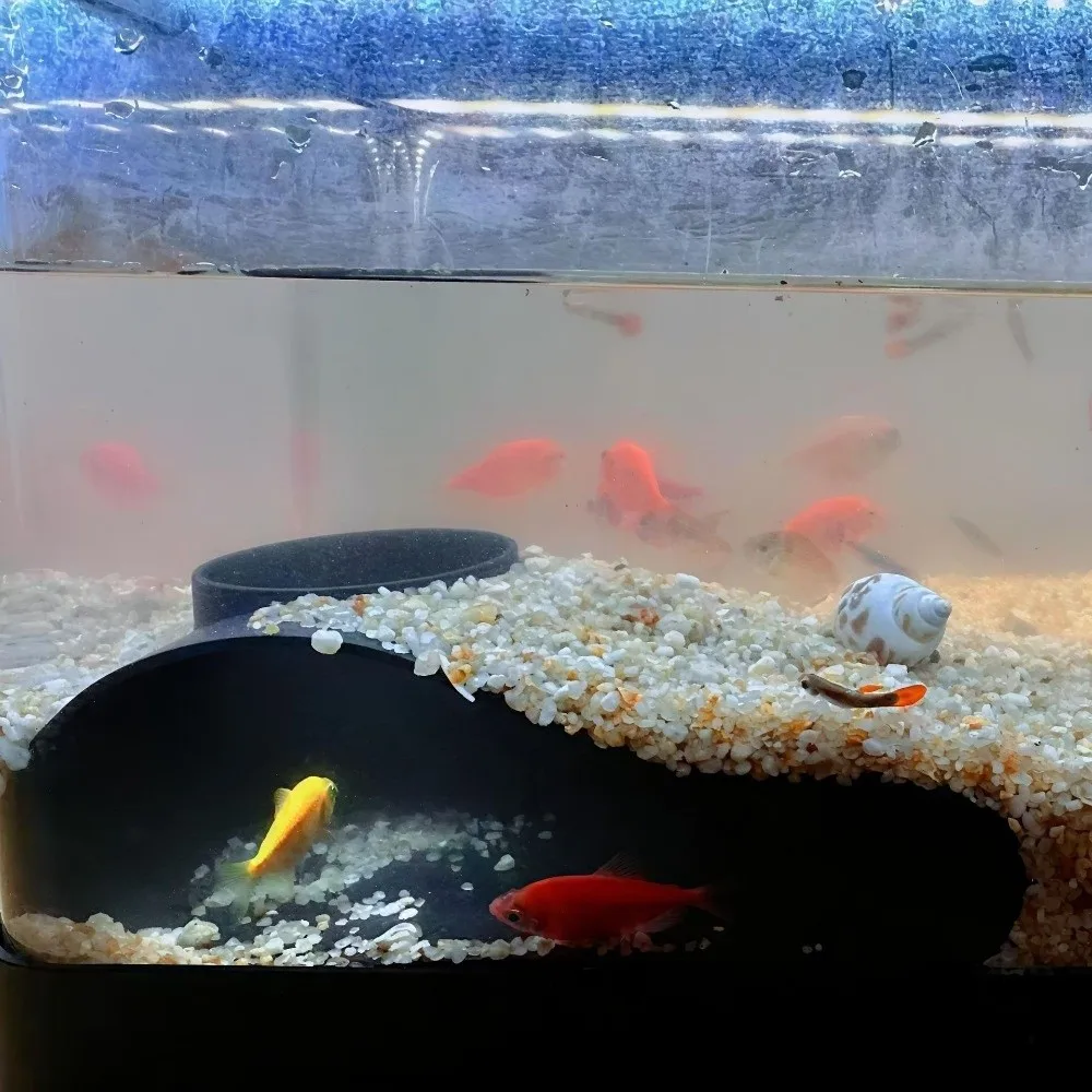 متعددة الوظائف حوض السمك تحت الأرض نفق الكهف تحت الحصى نفق منحنى ثقب واحد خزان الأسماك ديكور خزان الأسماك الديكور