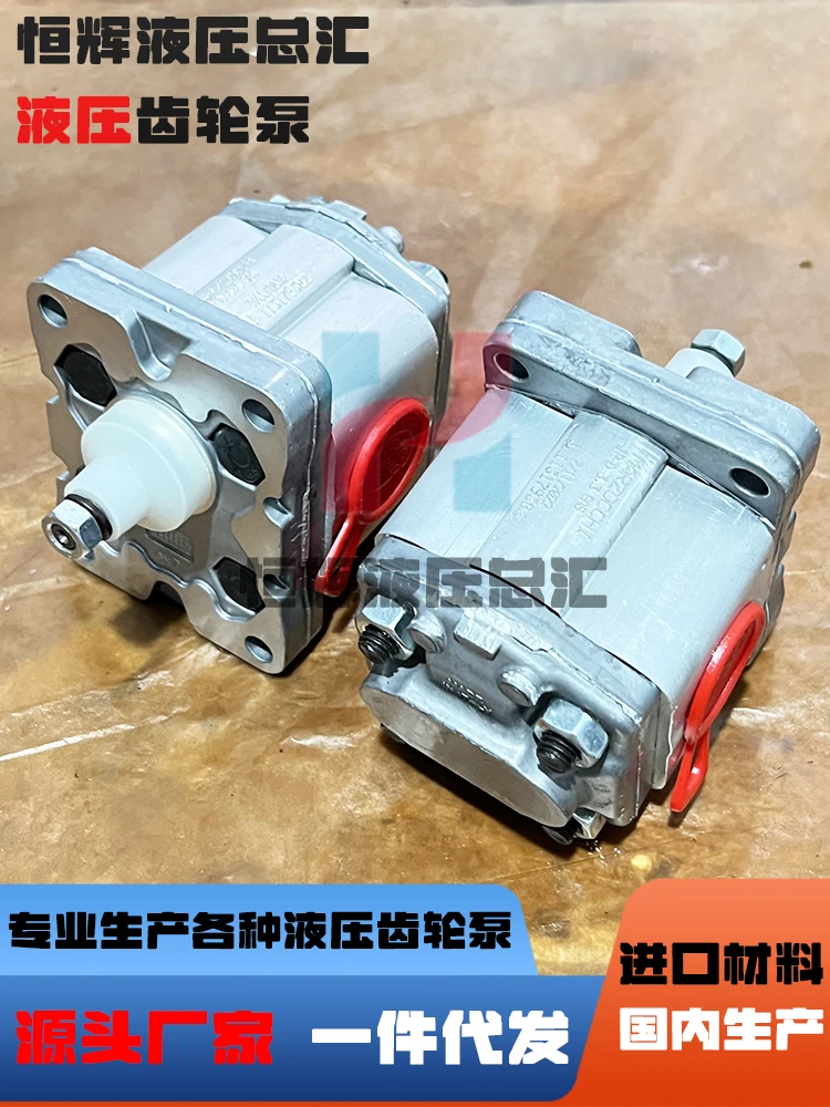 

Шестеренный насос 1PD6.7GAS 1PD5 1PD3.3GAS 1PD4.2 гидравлический масляный насос