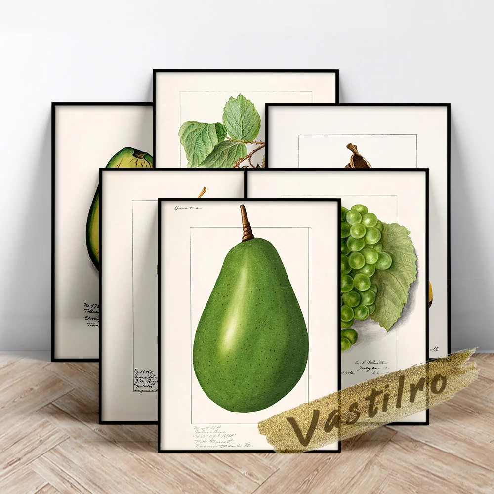 Ellen Isham Schutt Botanical Art Prints Poster Fruit Vegetable Canvas Painting Kitchen Restaurant Plant Wall Stickers Home Decor