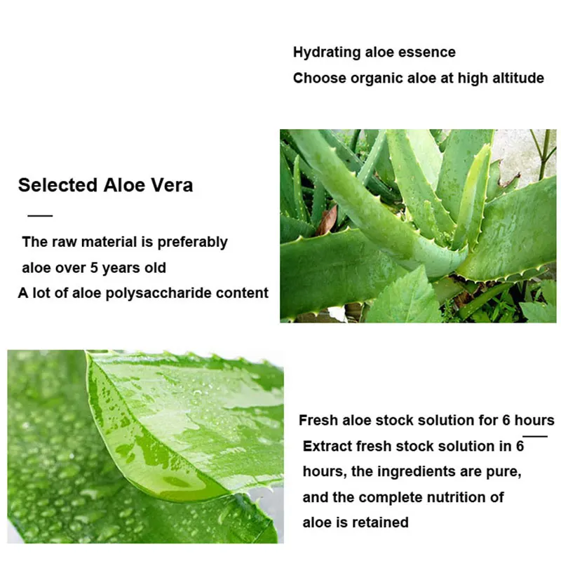 알로에 베라 글루 수면 마스크, 모공 수축, 오일 컨트롤, 부드럽고 부드러운 보충, 미세 라인 마스크 크림, 10 개