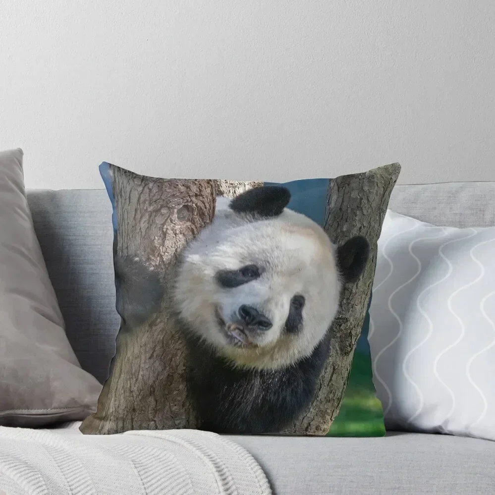 

Giant Panda Tian Tian at the National Zoo Throw Pillow Sofa Cushion Cover Plaid Sofa pillow