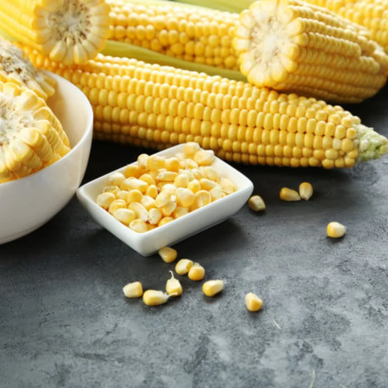 

Metal 380 To 540 Motor Adapter 3650 Motor Converter For Xray Serpent Xpress Ptg Lracing 3racing Sakura Rc Buggy Upgrade Part