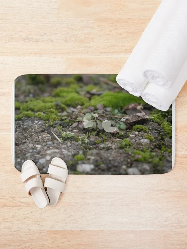 Mossy Pebble Clover Patch Bath Mat Carpet In The Bathroom Bathroom Use Mat