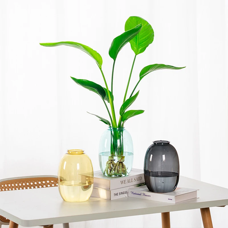 

Transparent Plastic Flowerpot Indoor Hydroponic Plant Pot Mini Tabletop Flowerpot Home Bonsai Decoration