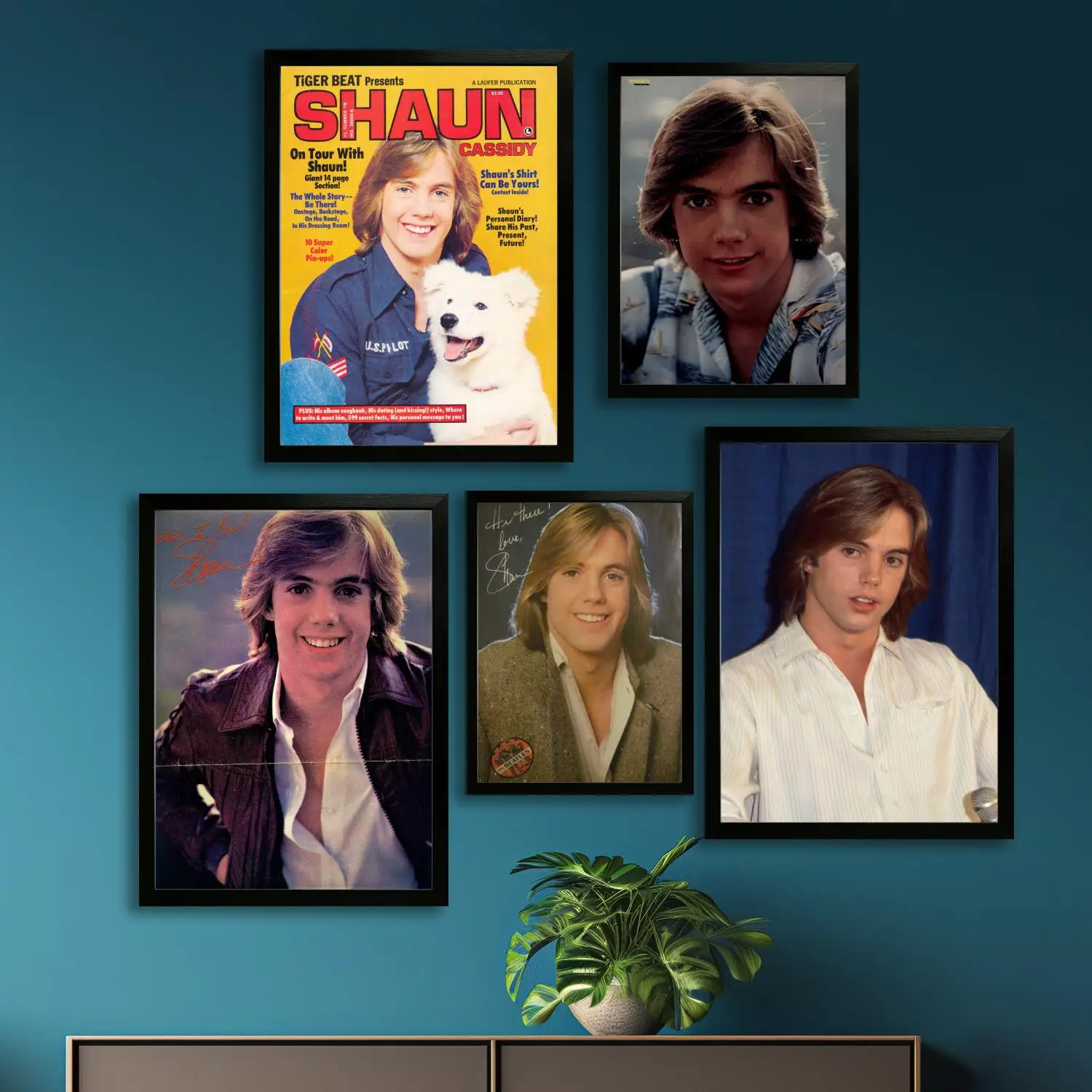 Shaun Cassidy Canvas Art Poster and Wall Art, Picture Print, Modern Family Bedroom Decor,Decorative painting