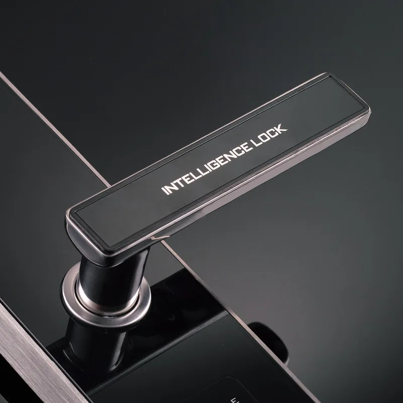 قفل بصمة الإصبع التلقائي، قفل باب بكلمة مرور، باب بصمة الإصبع بمقبض إلكتروني للمنزل الذكي #2