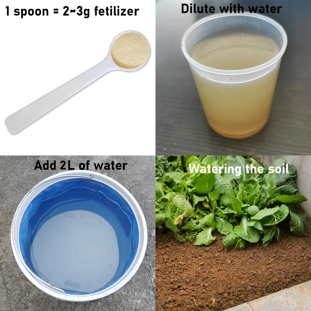 30 جرام Bacillus Subtilis الأسمدة العضوية الميكروبية الأسمدة القابلة للذوبان في الماء تحمي النباتات تنظيم بيئة التربة #3
