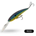 R035